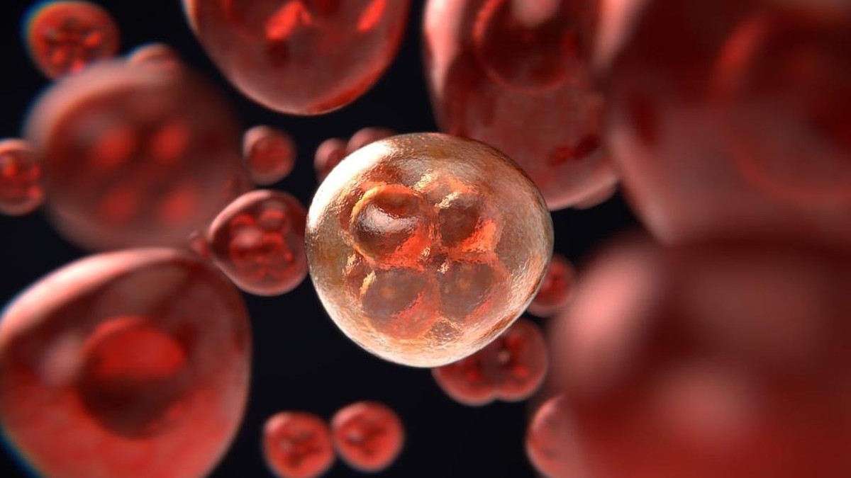 mengenal-stem-cell,-terobosan-baru-pengobatan-penyakit-berat