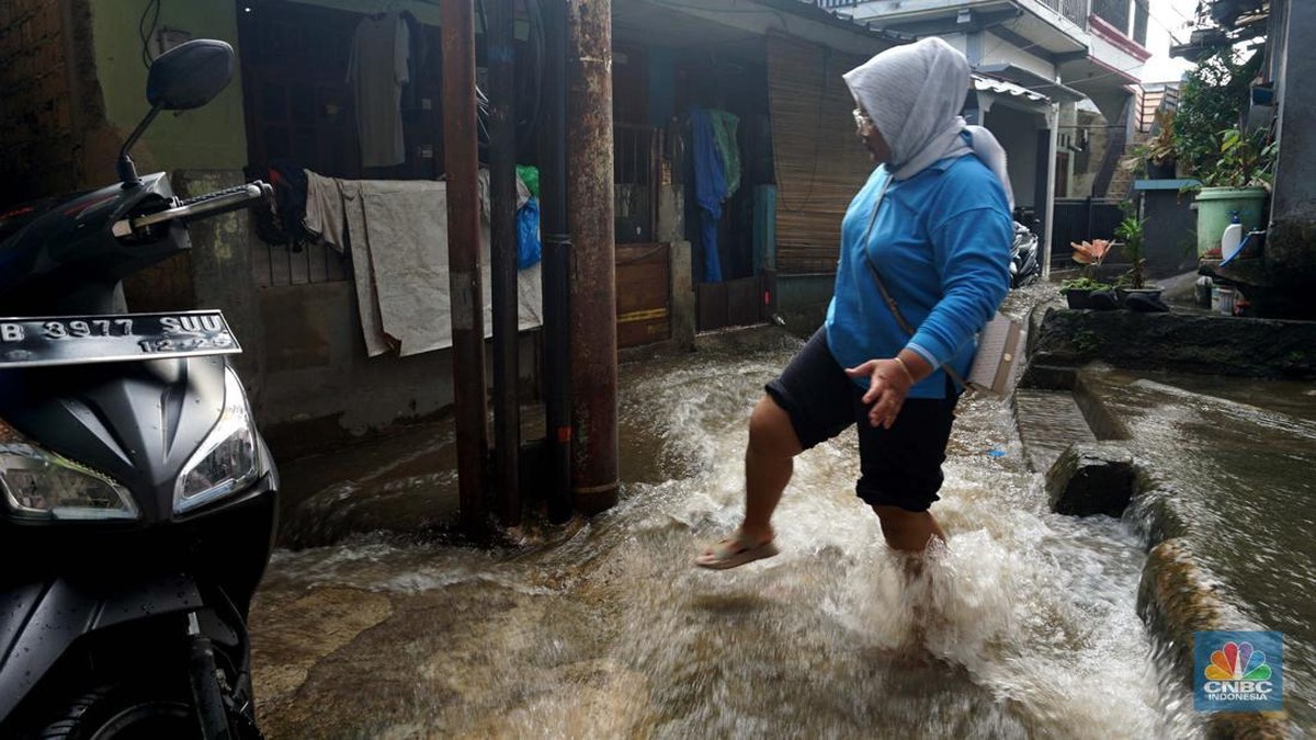 musim-hujan-waspada-kencing-tikus!-bisa-sebabkan-kematian