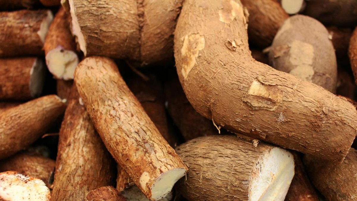 doyan-makan-singkong-sambil-ngopi?-ternyata-ini-efeknya-ke-tubuh