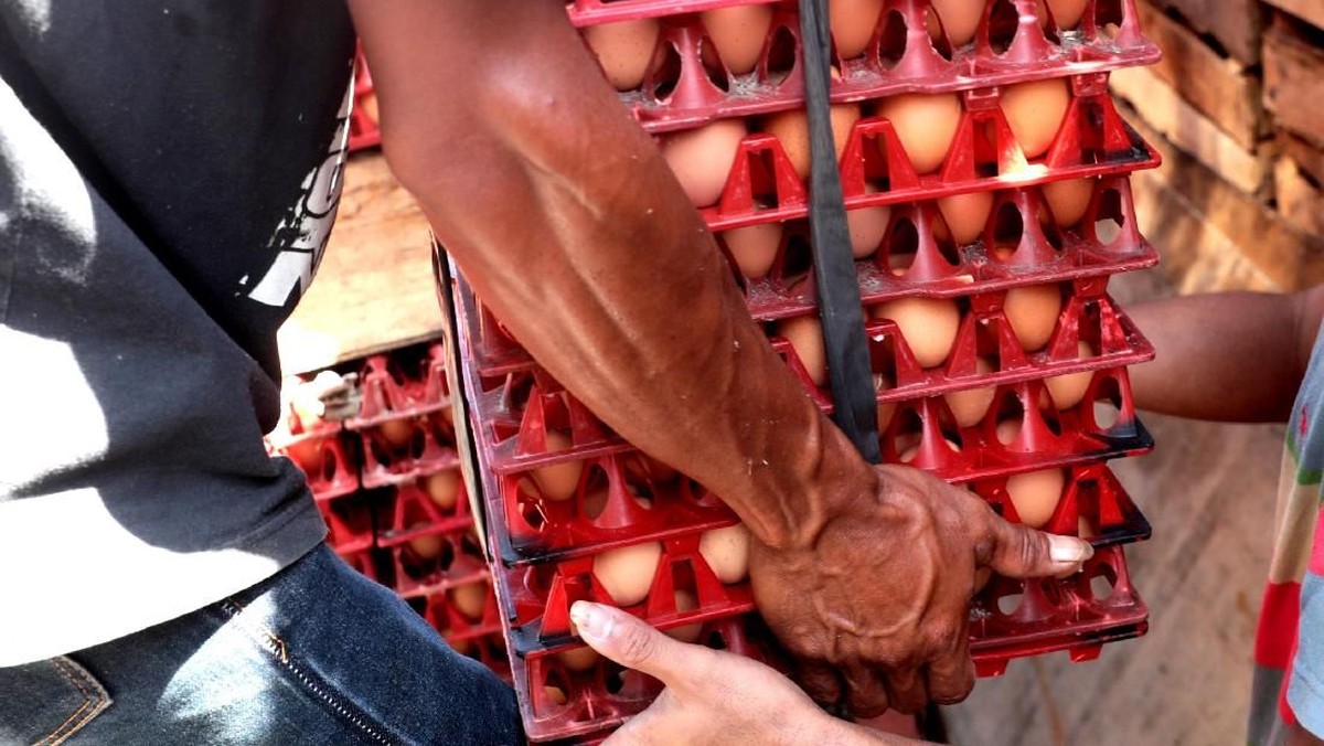 cara-menyimpan-telur-di-kulkas-agar-tahan-lama-dan-tetap-segar