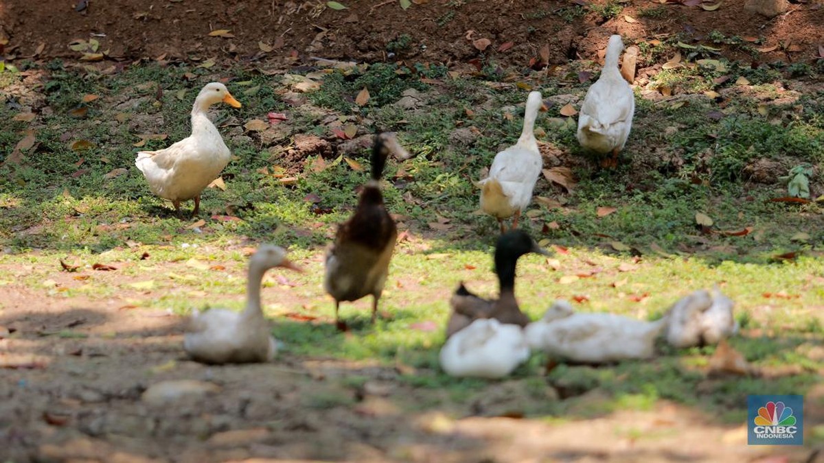 asik!-3-taman-favorit-warga-jaksel-bakal-digabung