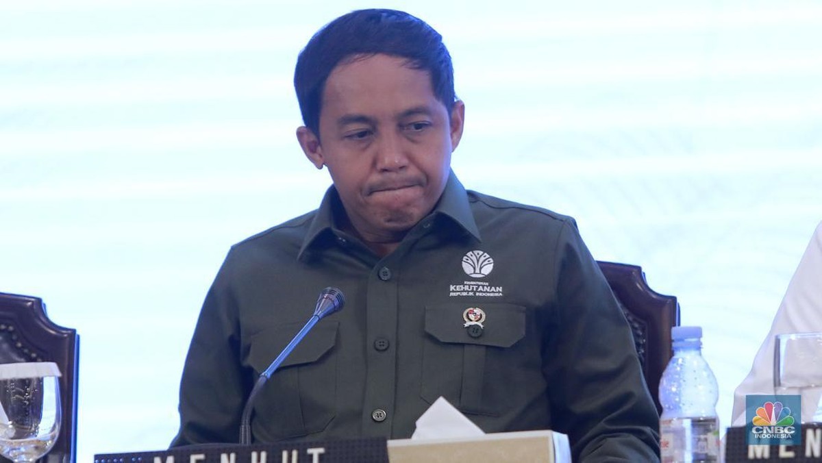 update-menhut-soal-lahan-prabowo-90-ribu-ha-demi-konservasi-gajah-aceh