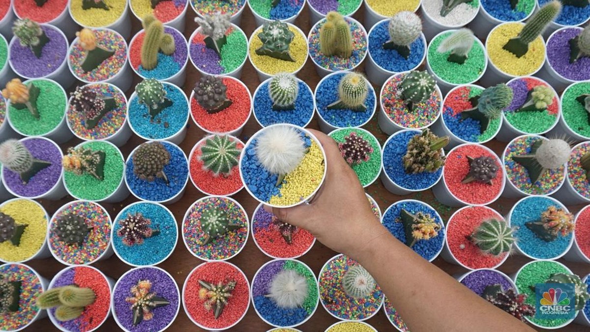 melihat-ragam-tanaman-hias-dan-hewan-di-flona-2025