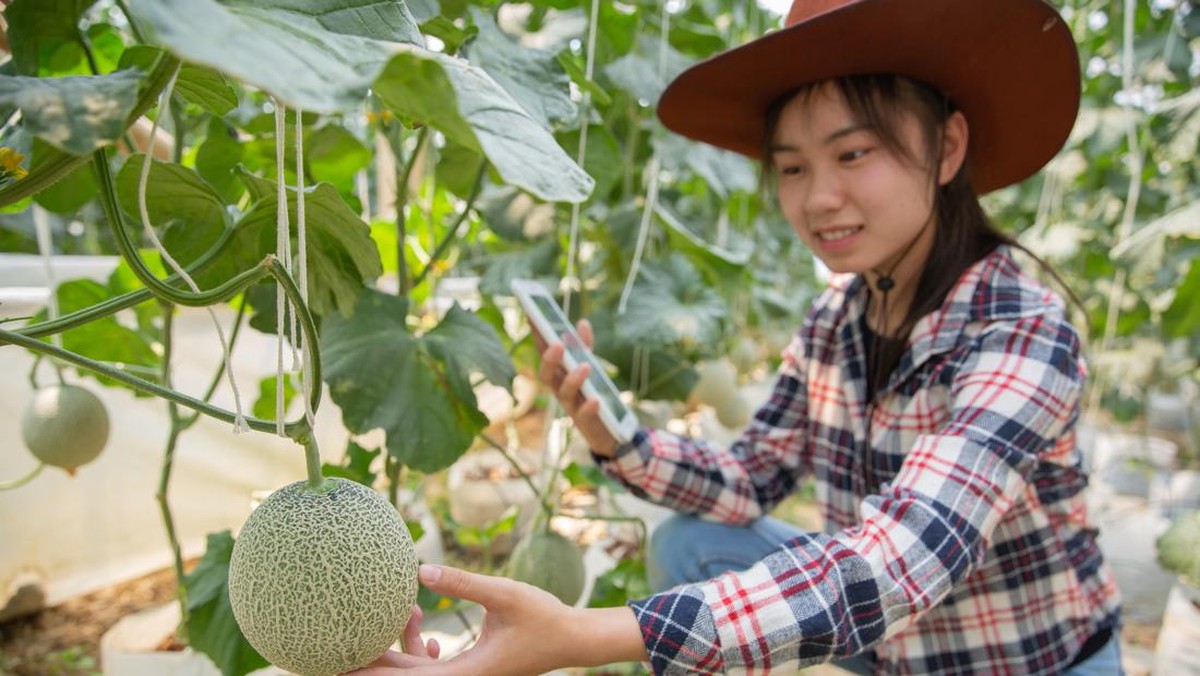 ramai-ramai-gen-z-beralih-ke-profesi-jadul,-fenomena-apa?