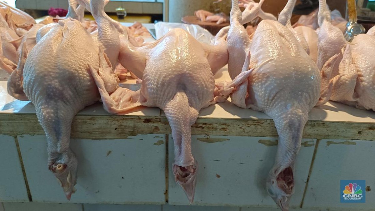 mitos-atau-fakta,-makan-daging-ayam-picu-risiko-kanker?-ini-kata-ahli