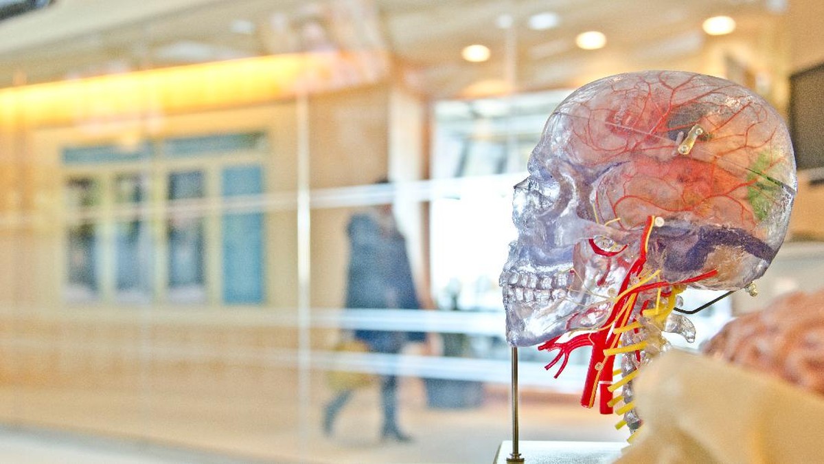 waspada-rawan-serangan-stroke-di-pagi-hari,-ini-gejala-pemicunya