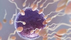 waspada!-paparan-mikroplastik-bisa-kurangi-jumlah-sperma-pria