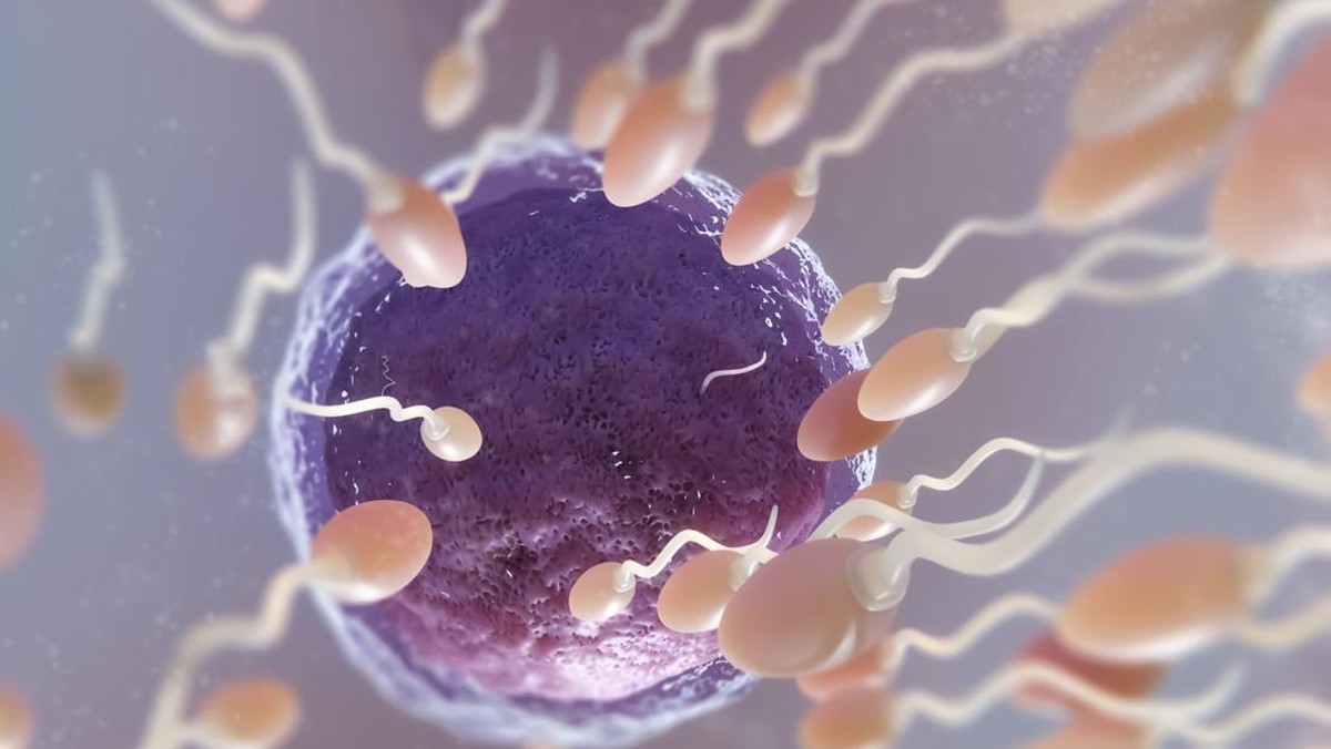 waspada!-paparan-mikroplastik-bisa-kurangi-jumlah-sperma-pria