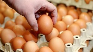 sering-makan-telur-bikin-kolesterol-melonjak,-mitos-atau-fakta?