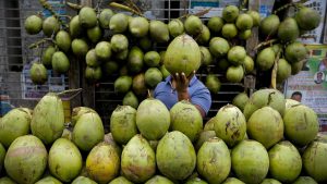 7-waktu-terbaik-minum-air-kelapa,-jarang-orang-yang-tahu