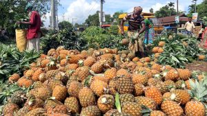 jadi-simbol-kekayaan,-nanas-pernah-setara-nilai-tas-gucci