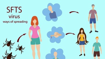 kutu-pembawa-virus-sebabkan-422-kematian-di-korea-selatan,-ini-gejala-yang-perlu-diwaspadai