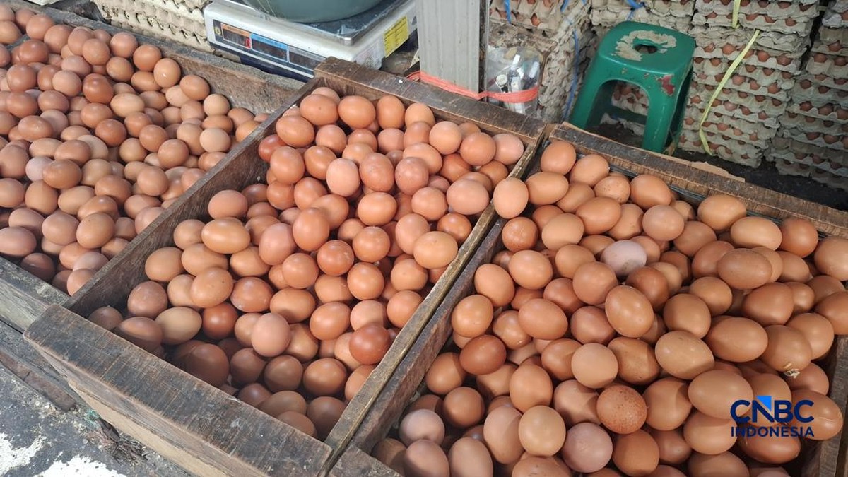 5-makanan-ini-tidak-boleh-dikonsumsi-bareng-telur,-dampaknya-bahaya