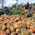 banyak-dijual-di-jalan,-buah-ini-ternyata-penangkal-asam-urat