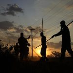 kabar-baik,-pembabatan-hutan-di-kawasan-paru-paru-bumi-rekor-terendah