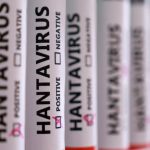 hantavirus-bikin-satu-dunia-ketakutan,-sudah-adakah-vaksinnya?
