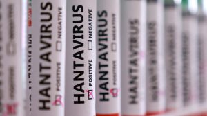 hantavirus-bikin-satu-dunia-ketakutan,-sudah-adakah-vaksinnya?