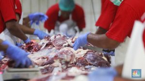 cara-ampuh-simpan-daging-kurban-awet-berbulan-bulan,-ini-tipsnya