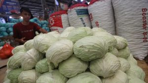 kol-punya-manfaat-jitu,-tapi-6-kelompok-orang-ini-harus-waspada