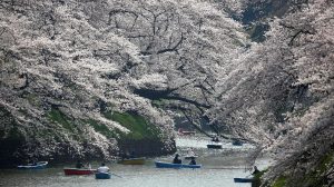mulai-1-juli-2026,-pulang-dari-jepang-kena-pajak-rp340-ribu