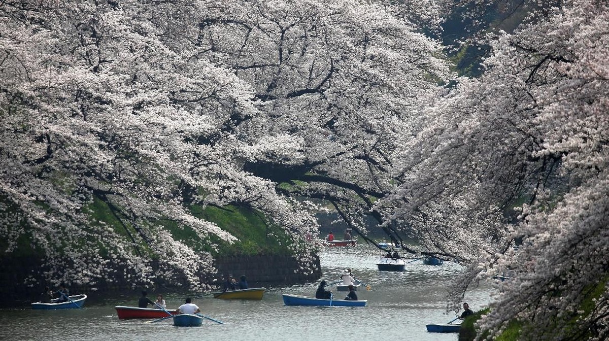 mulai-1-juli-2026,-pulang-dari-jepang-kena-pajak-rp340-ribu