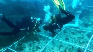 ahli-temukan-kuburan-massal-bawah-laut,-ada-150-bangkai-kapal